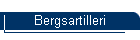 Bergsartilleri