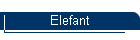 Elefant