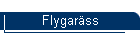 Flygarss